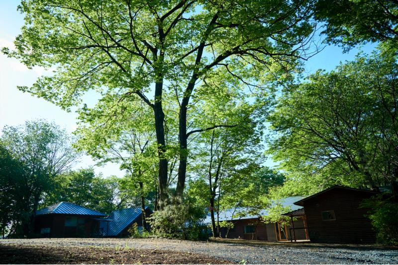 栃木県大田原市森の中・自然を楽しむキャンプ場ファンド